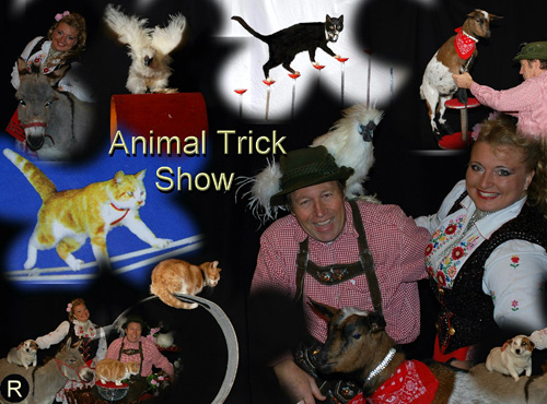 Animal Trick Show!  Dieren Act