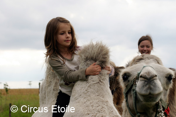 Ritjes op kameel Kamelen kameelverhuur