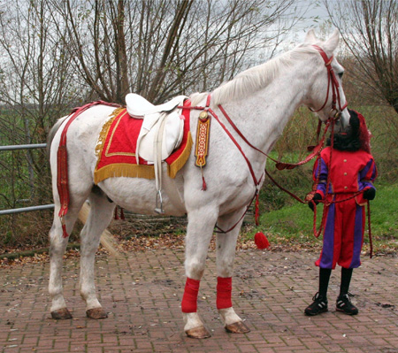 Het paard van Sinterklaas.