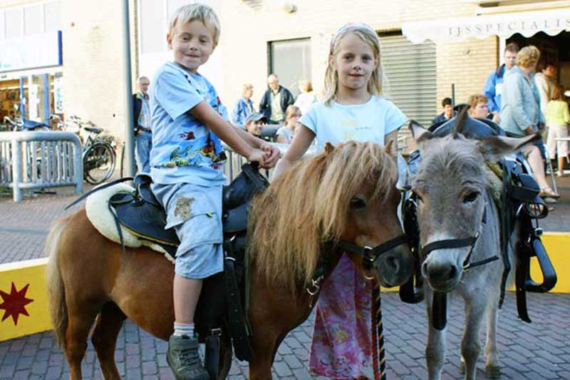 Pony en ezeltje rijden