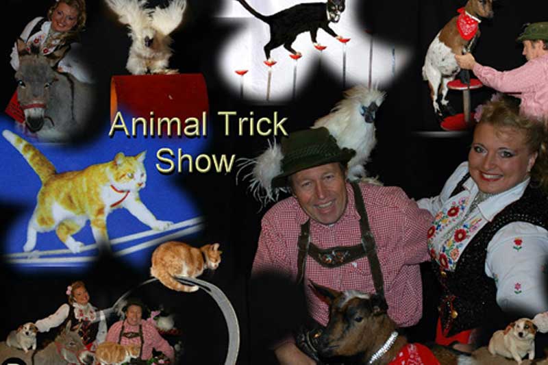 Animal Trcik show