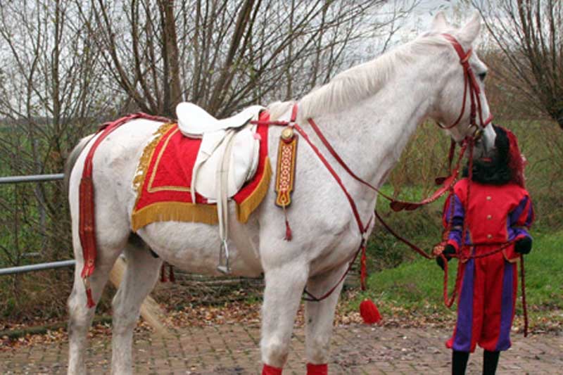 paard van Sinterklaas